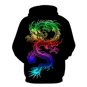 Cool dragon hoodies multicolor | Armored Drake