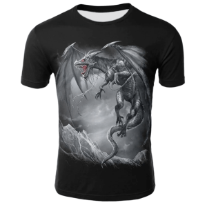 The last dragon t shirt | Armored Drake